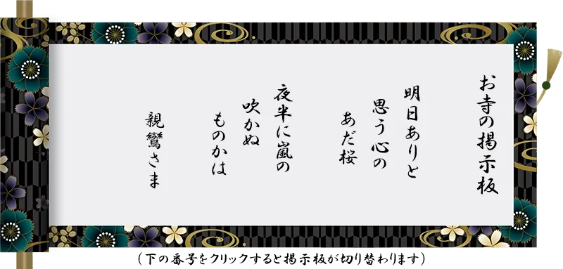 2025_keijiban_05-3 明日ありと 思う心の あだ桜 夜半に嵐の 吹かぬ ものかは 親鸞さま
