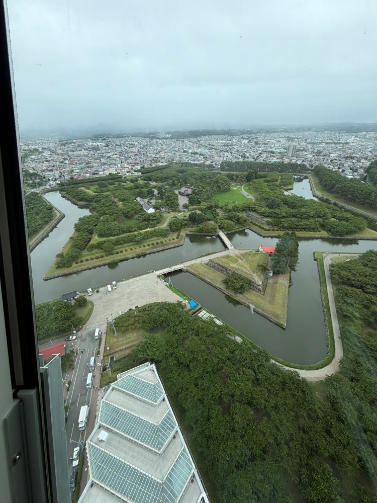 五稜郭タワーからの函館の街並み
