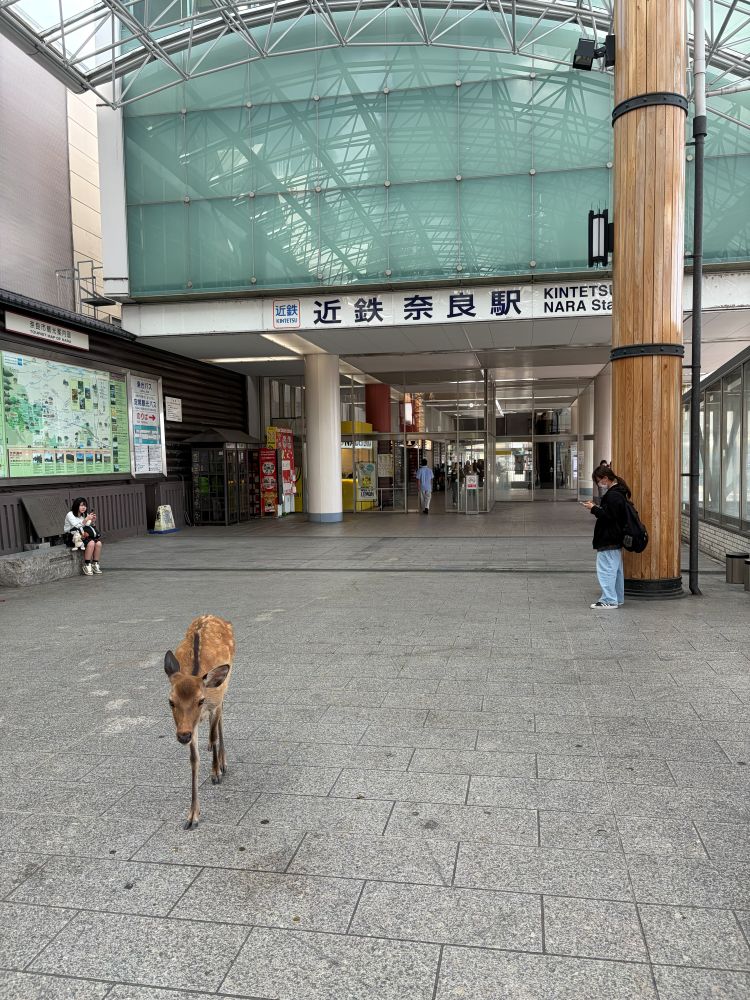 奈良近鉄駅