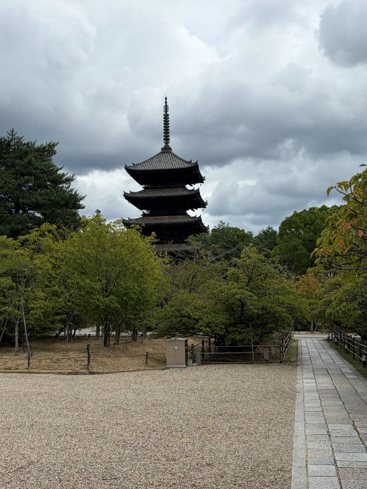 仁和寺 五重塔