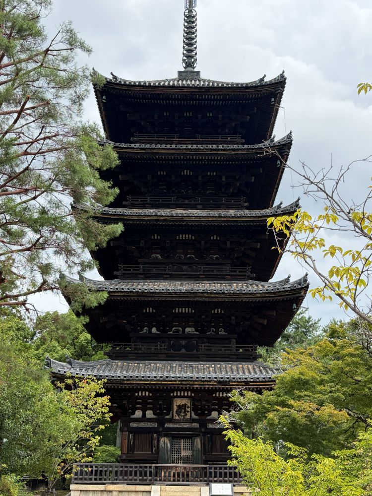 仁和寺 五重塔