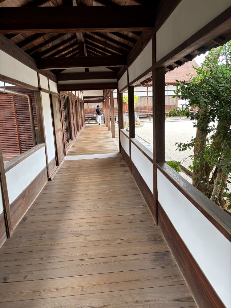 仁和寺 御殿回廊