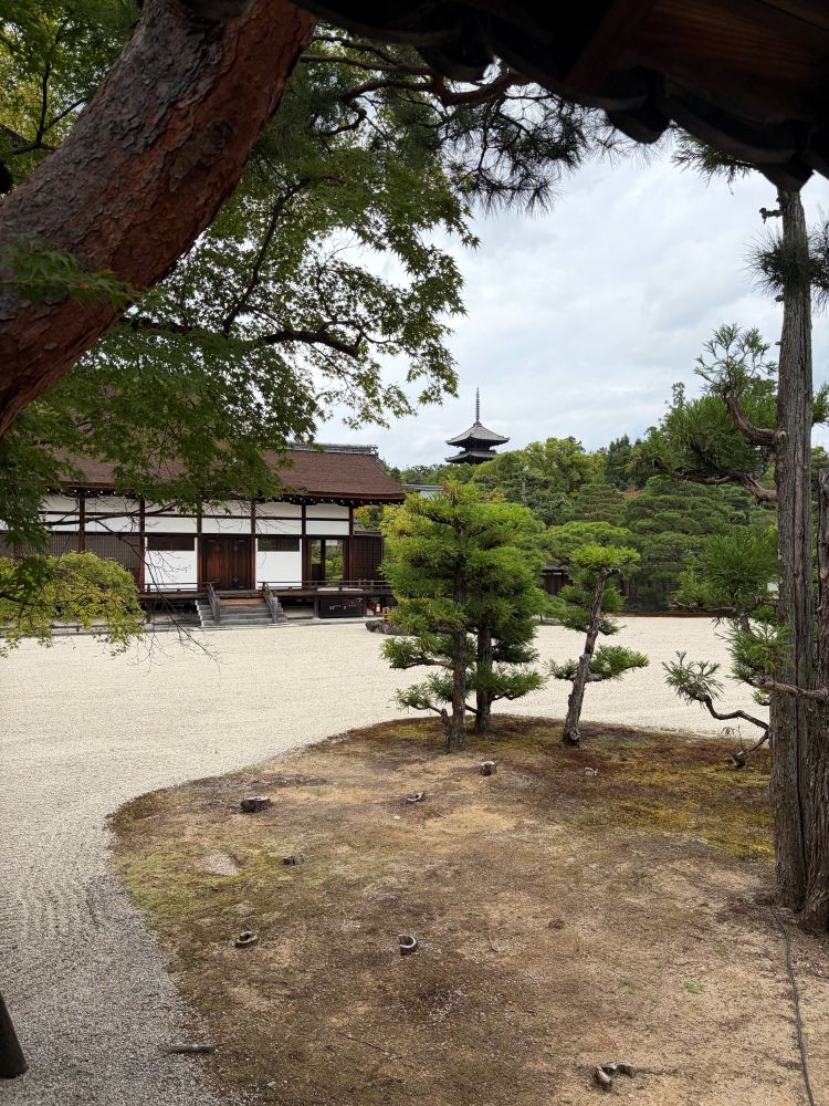 仁和寺 南庭