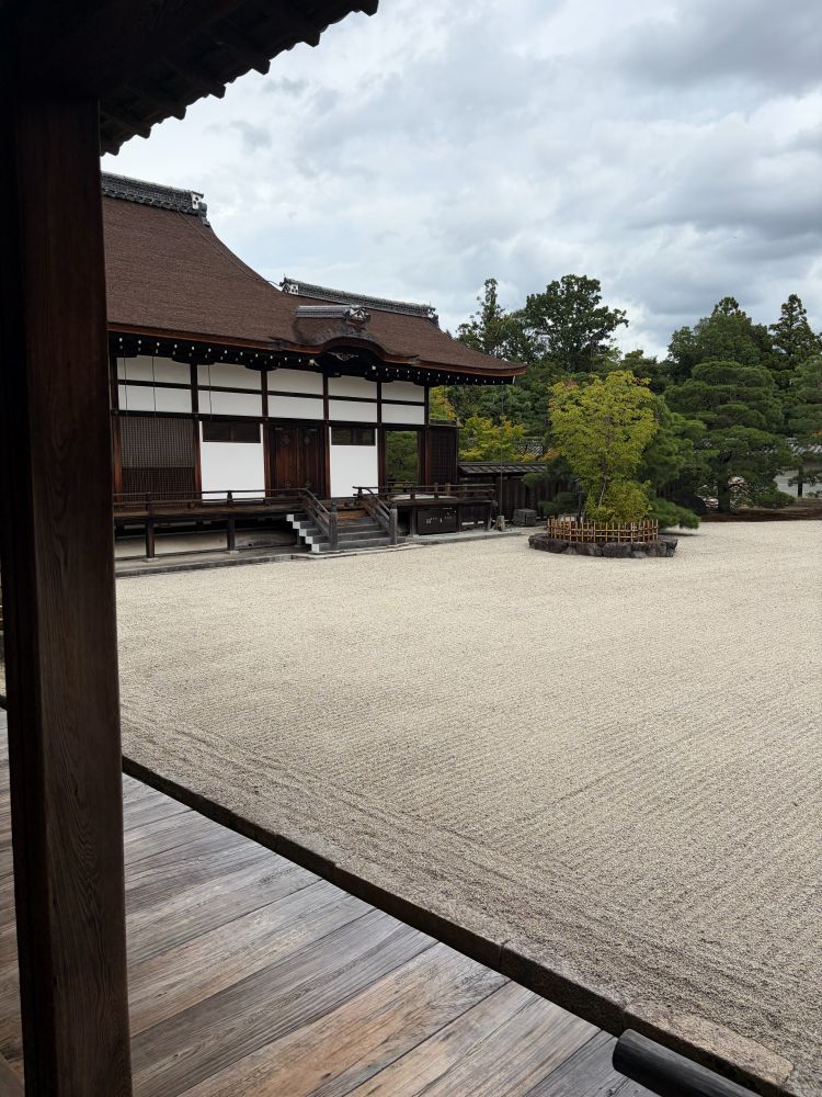 仁和寺 南庭